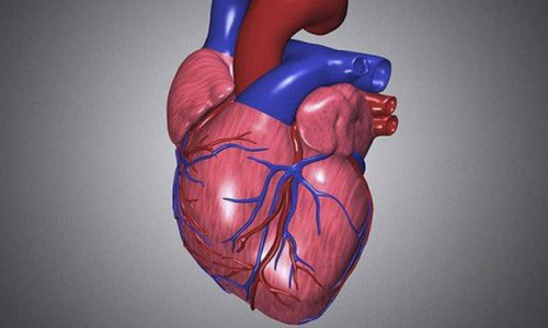  Sau 40 tuổi, nếu đột ngột đau nhức ở 3 vị trí này thì rất có thể là dấu hiệu của nhồi máu cơ tim, nên đi kiểm tra tim mạch sớm  - Ảnh 3.