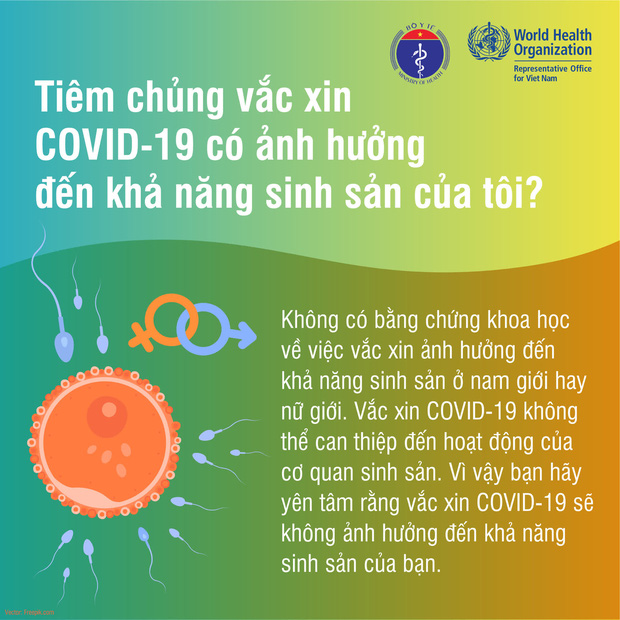 Đang trong kỳ kinh nguyệt, mang thai và cho con bú, có nên tiêm vắc xin phòng Covid-19? - Ảnh 1.