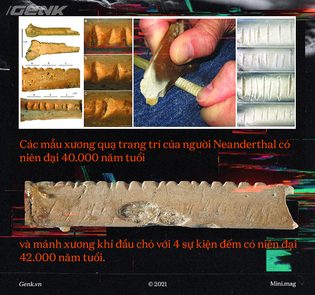 60.000 năm trước, một người Neanderthal vô danh đã đưa nhân loại bước vào kỷ nguyên số - Ảnh 7. 60.000 năm trước, một người Neanderthal vô danh đã đưa nhân loại bước vào kỷ nguyên số - Ảnh 7.