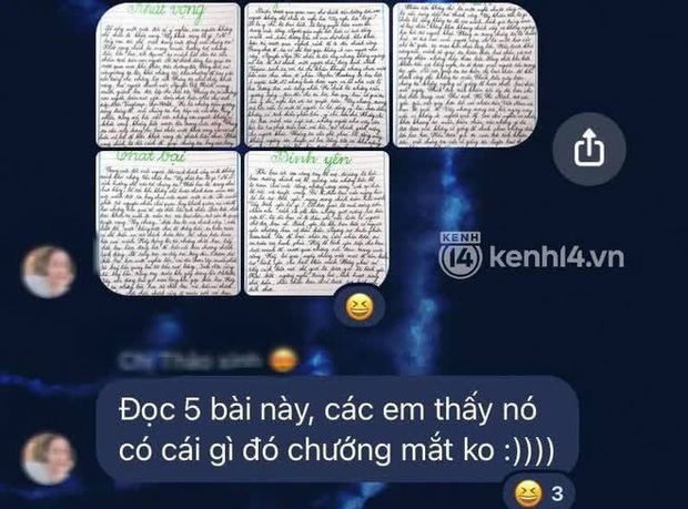 Cô giáo Văn chính thức lên tiếng sau lùm xùm dùng từ ngữ tục tĩu, show ảnh bộ phận nhạy cảm: Lời xin lỗi vẫn gây phẫn nộ!  - Ảnh 3.