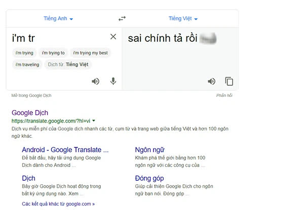 Từ Nghi Vấn Google Dịch Bị Hacker Việt Tấn Cong đến Hanh động đang Len An Của Nhiều Người Dung Internet