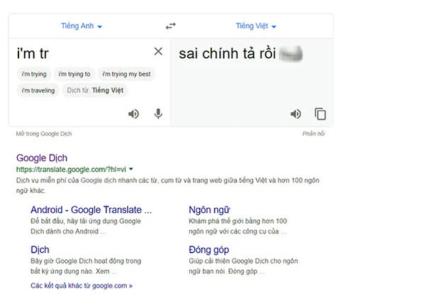  Từ nghi vấn Google Dịch bị hacker Việt tấn công đến hành động đáng lên án của nhiều người dùng Internet - Ảnh 4.