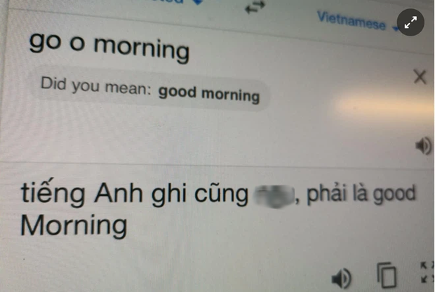  Từ nghi vấn Google Dịch bị hacker Việt tấn công đến hành động đáng lên án của nhiều người dùng Internet - Ảnh 5.