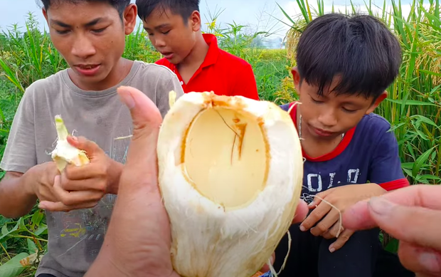  Vlogger đồng quê Việt Nam giới thiệu loại dừa ăn được cả vỏ khiến người xem trố mắt: Giòn như ổi, vị chát như chuối xanh? - Ảnh 6.