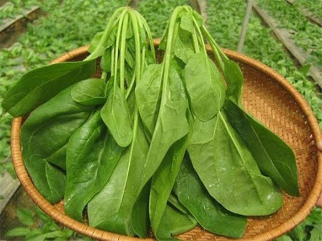 40% các loại ung thư có thể ngăn ngừa nhờ ăn uống hợp lý: 9 thực phẩm là khắc tinh của thần chết, bán đầy ở chợ Việt  - Ảnh 7.
