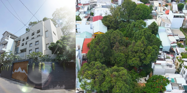 Ngôi nhà phong cách Nhật Bản giữa khuôn viên cây xanh trăm tuổi ở TP HCM: Hoàn thiện mất 2 năm, chi phí xây dựng gần 18 tỷ đồng, nhìn thành quả ai cũng ngưỡng mộ  - Ảnh 1.