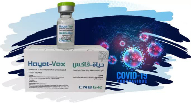 Xem xét cấp phép 2 vắc-xin Covid-19 Nano Covax và Hayat-Vax  - Ảnh 2.