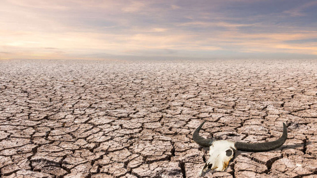  Đất nước đầu tiên trên thế giới rơi vào nạn đói vì biến đổi khí hậu: Tất cả mới chỉ bắt đầu  - Ảnh 1.