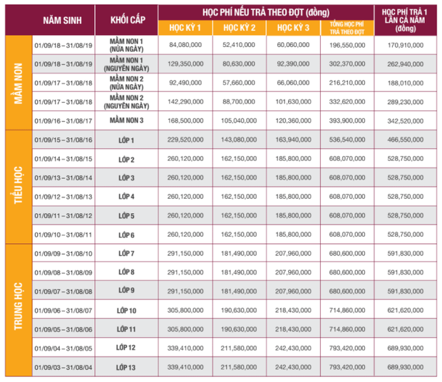  Một trường quốc tế ở TP.HCM tăng học phí 101 triệu, chạm mốc 667 triệu/năm  - Ảnh 8.