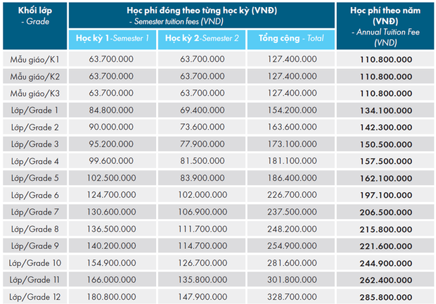  Một trường quốc tế ở TP.HCM tăng học phí 101 triệu, chạm mốc 667 triệu/năm - Ảnh 4.