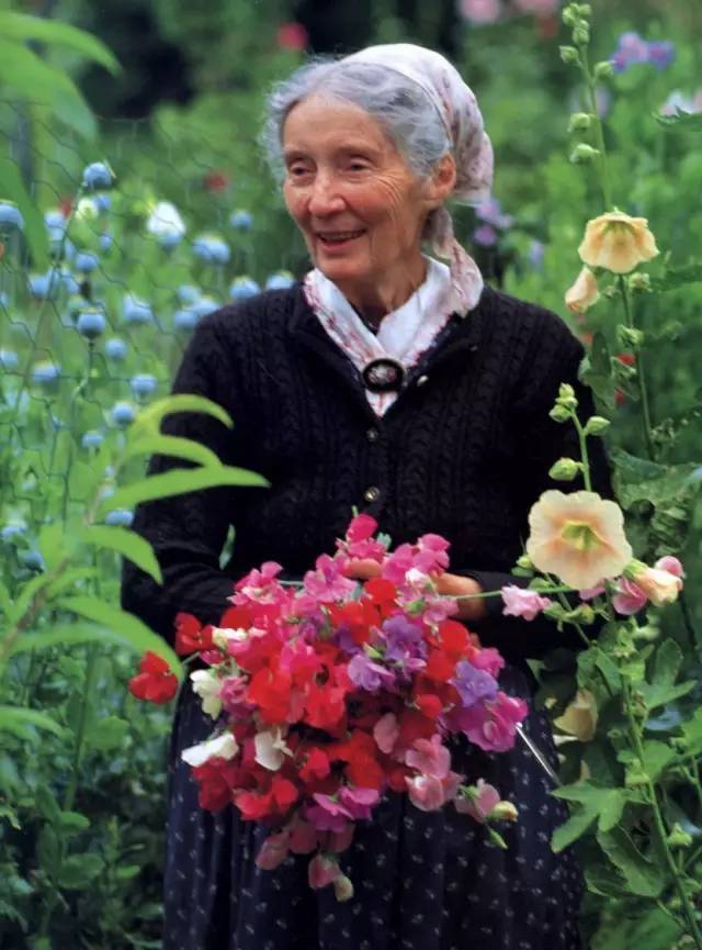  Bỏ phố về quê, bà cụ U100 biến mảnh đất quê thành căn nhà vườn trị giá 2 triệu USD, tận hưởng cuộc sống đẹp như tranh vẽ  - Ảnh 17.