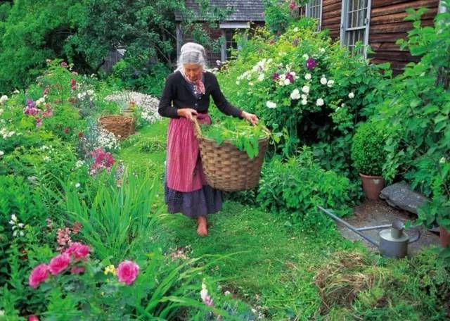  Bỏ phố về quê, bà cụ U100 biến mảnh đất quê thành căn nhà vườn trị giá 2 triệu USD, tận hưởng cuộc sống đẹp như tranh vẽ  - Ảnh 4.
