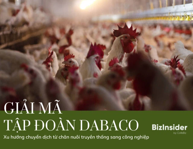 Vì sao doanh nghiệp “tỉnh lẻ” Dabaco nổi lên như ngôi sao sáng trong ngành chăn nuôi đầy áp lực từ ông lớn C.P, Vissan, Masan? - Ảnh 1.