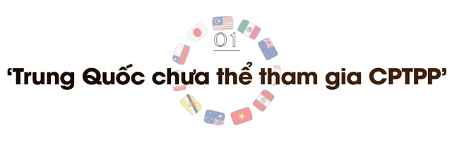  Founder hãng luật Baker McKenzie Vietnam: Đằng sau câu chuyện Trung Quốc xin gia nhập CPTPP và thách thức của Việt Nam trước ‘gorilla nặng nghìn pound’  - Ảnh 2.