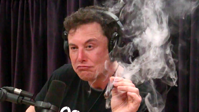     Elon Musk lại nhấn mạnh: Cổ phiếu Tesla phải trị giá 3.000 USD, nếu chúng được định giá đúng - Ảnh 1.
