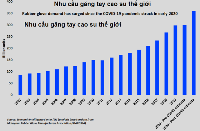  Thời tới không cản nổi, lợi nhuận các doanh nghiệp găng tay y tế Việt Nam tăng phi mã lên vài trăm tỷ sau nhiều năm lãi bèo bọt  - Ảnh 1.