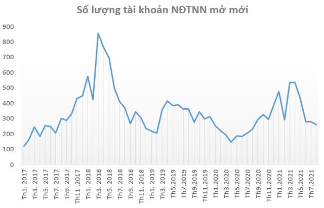  Nhà đầu tư đổ xô đầu tư chứng khoán, lượng tài khoản mở mới 8 tháng đầu năm lớn hơn 3 năm trước cộng lại  - Ảnh 2.