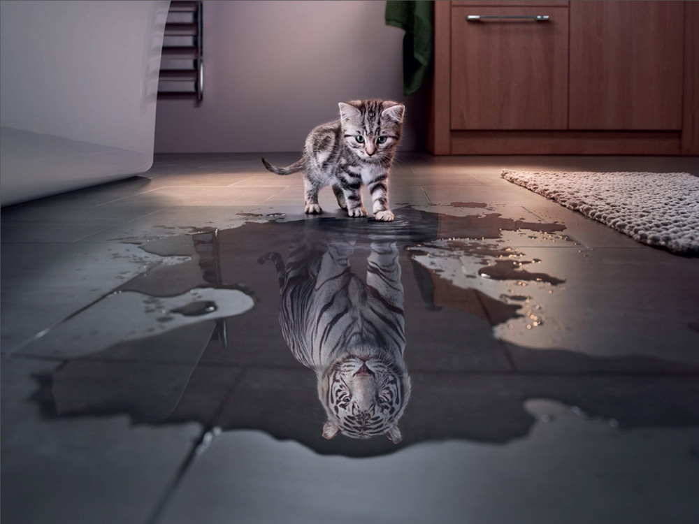 Khám phá hơn 100 hình nền ảnh mèo hóa hổ tuyệt vời nhất  thdonghoadian
