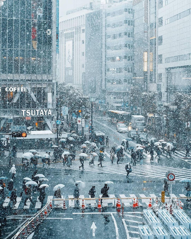 Khung cảnh Tokyo tuyết trắng, đúng là một phong cảnh tuyệt vời giữa thành phố đông đúc. Hãy cùng thưởng thức bức ảnh này để cảm nhận sự yên bình và đẹp đẽ của thành phố này dưới tuyết trắng.