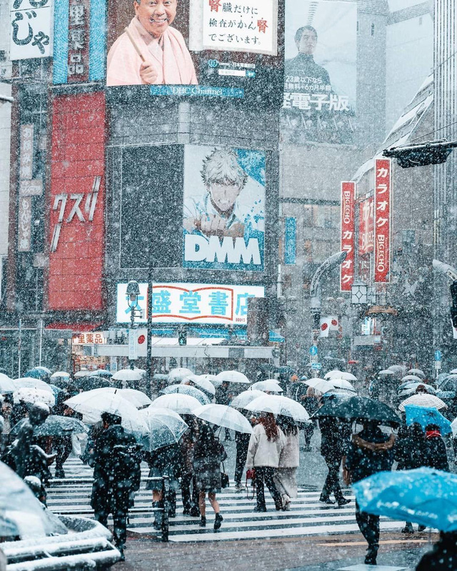  Chùm ảnh: Khung cảnh Tokyo dưới tuyết trắng đẹp đến nao lòng, phảng phất nét buồn tựa cổ tích mùa đông  - Ảnh 2.