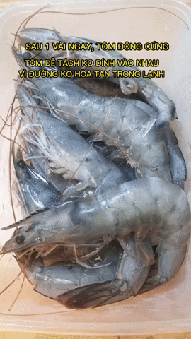 Trữ đông tôm mà bị đóng thành tảng băng thế này thì mất cả ngon: Cách khắc phục cực đơn giản mà phần lớn chúng ta đều chưa biết! - Ảnh 3.