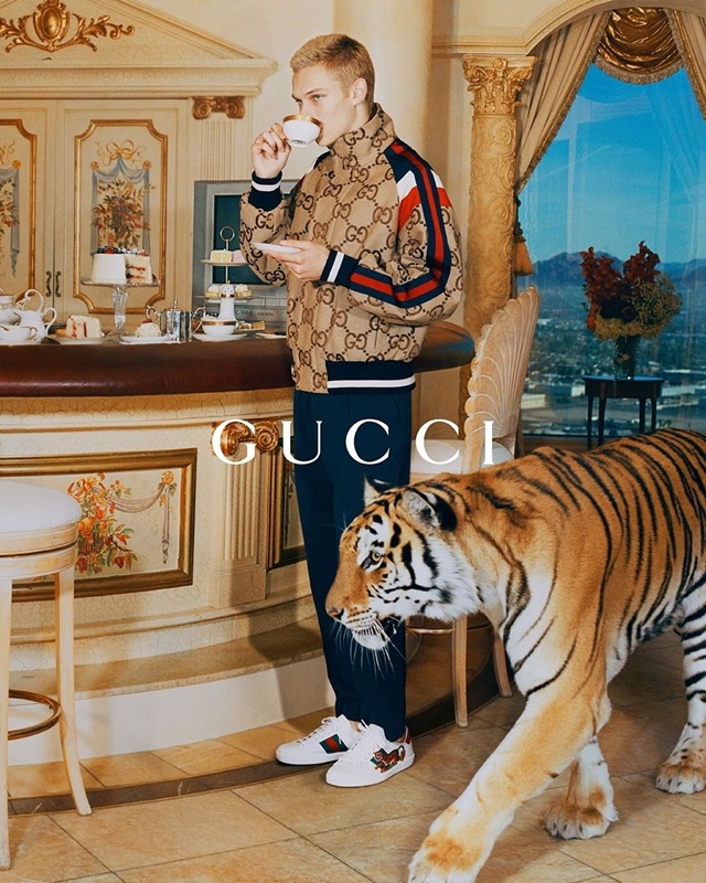 Thương hiệu xa xỉ Gucci gây tranh cãi vì dùng hổ thật quay quảng cáo - Ảnh 2.