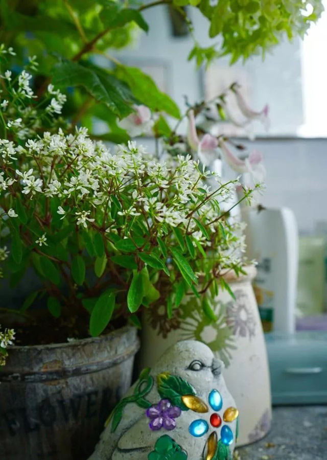 Chàng thiết kế trẻ khéo biến ban công 3m² thành khu vườn mộng mơ khiến các chị em cũng phải ghen tị - Ảnh 18. Chàng thiết kế trẻ khéo biến ban công 3m² thành khu vườn mộng mơ khiến các chị em cũng phải ghen tị - Ảnh 18.