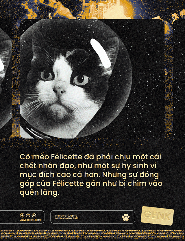  Mèo cũng đã từng vào không gian, và tên cô bé là Félicette  - Ảnh 8.