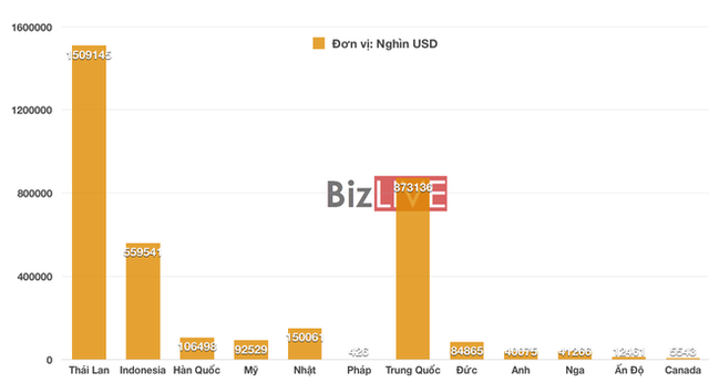 Tăng vọt trong năm 2021, Việt Nam nhập ô tô nhiều nhất từ quốc gia nào? - Ảnh 2. Tăng vọt trong năm 2021, Việt Nam nhập ô tô nhiều nhất từ quốc gia nào? - Ảnh 2.