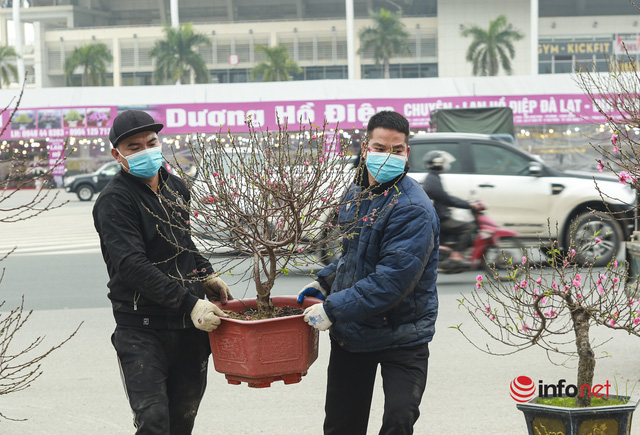  Hà Nội: Đào khủng hạ giá cho thuê một nửa nhưng chưa khách nào chọn  - Ảnh 16.