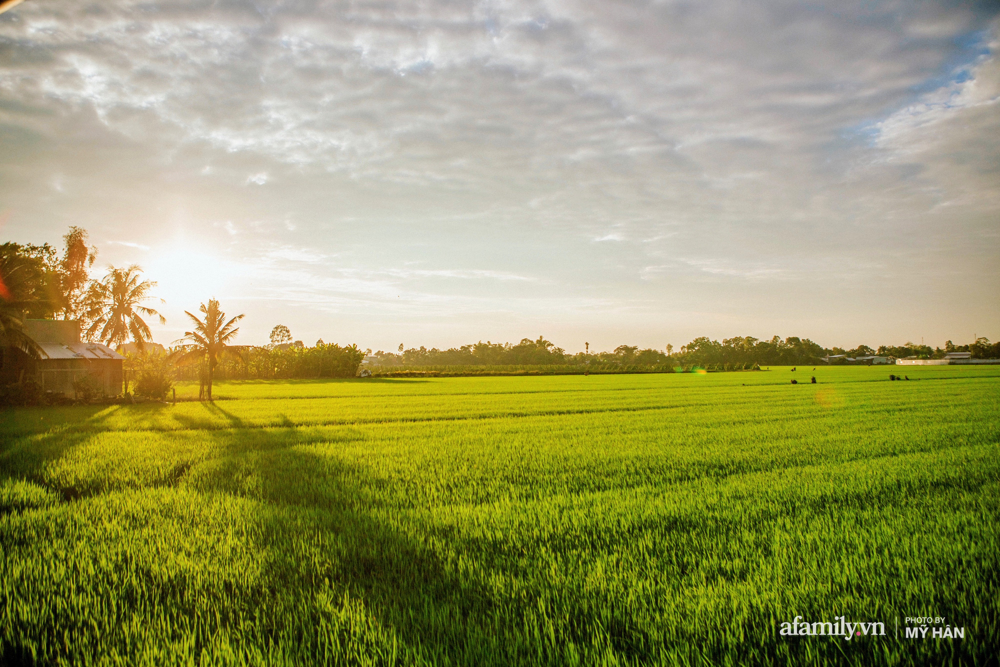 Khát vọng nông nghiệp hữu cơ ở Thừa Thiên Huế