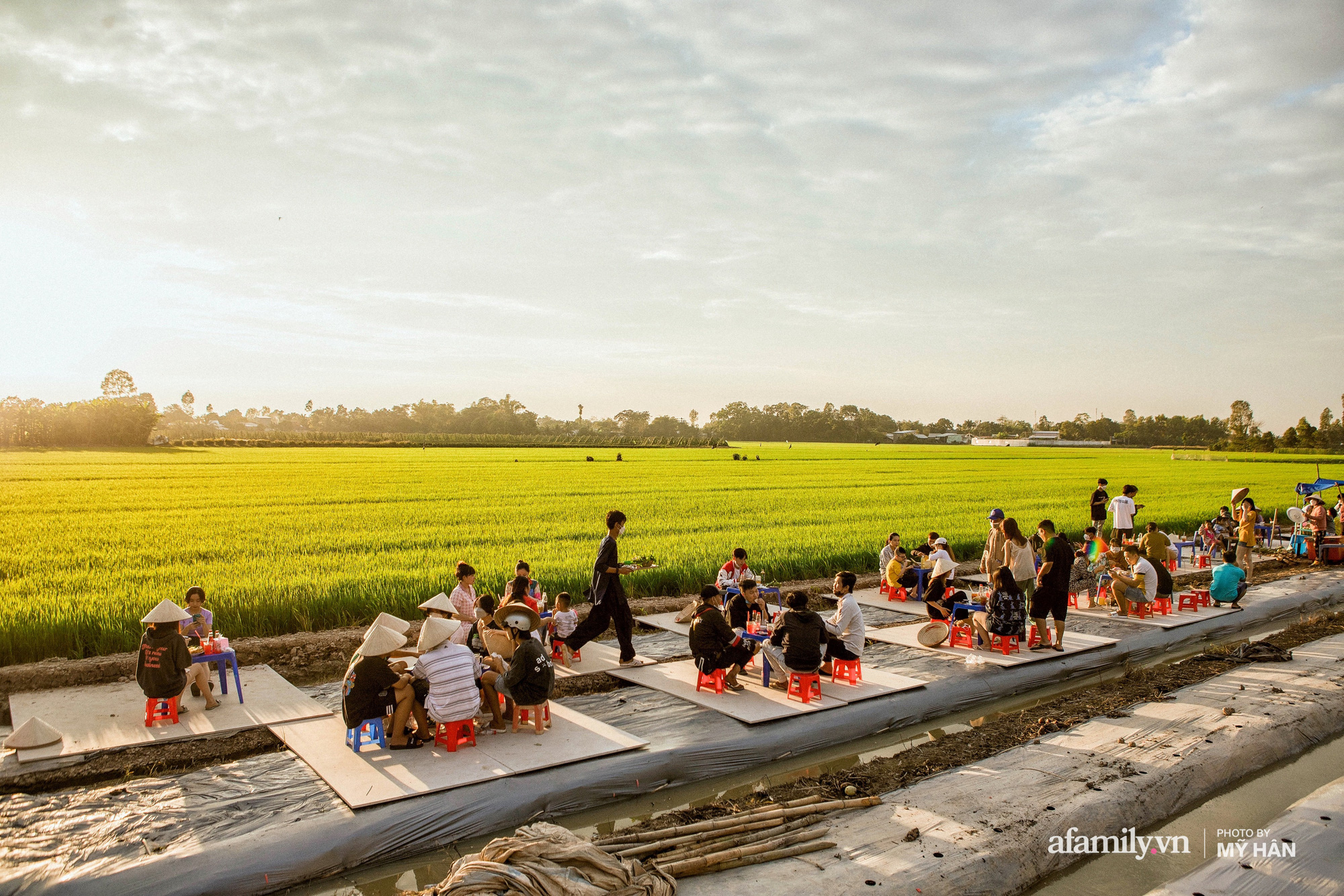 Miễn thuế sử dụng đất nông nghiệp giúp người dân gắn bó với ruộng đồng   Kinh doanh  Vietnam VietnamPlus