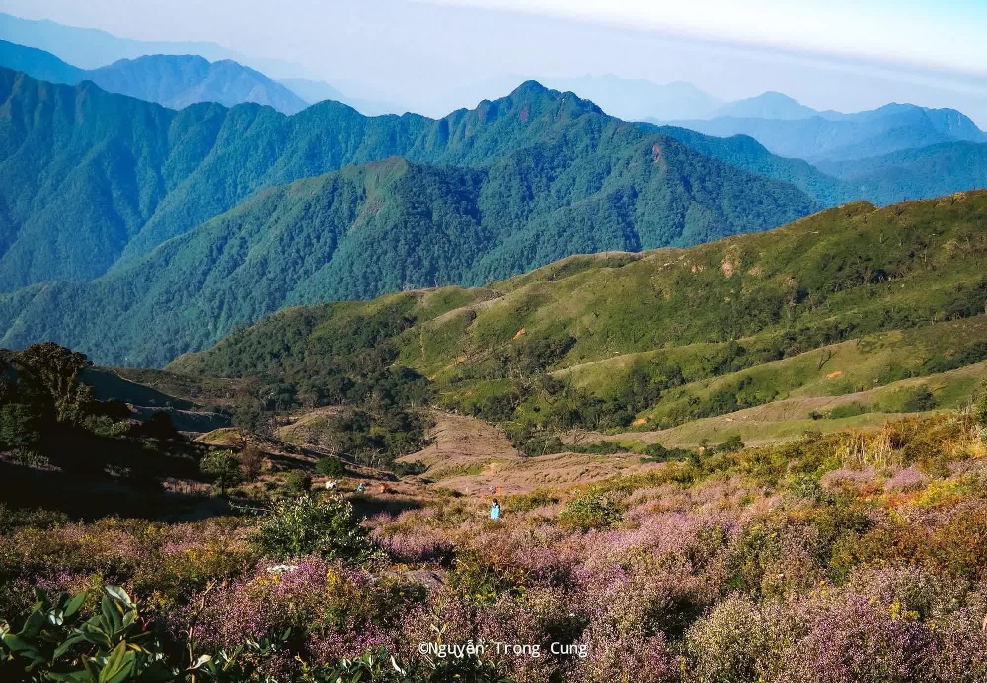 Khám phá những thiên đường săn mây và hoa chi pâu tuyệt đẹp ở vùng Tây Bắc - Ảnh 2.