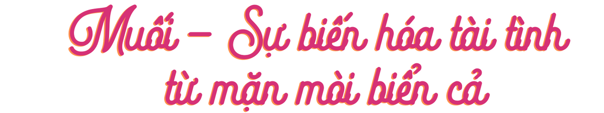 Muối - Gia vị thổi sự sống vào mọi món ăn - Ảnh 1. Muối - Gia vị thổi sự sống vào mọi món ăn - Ảnh 1.