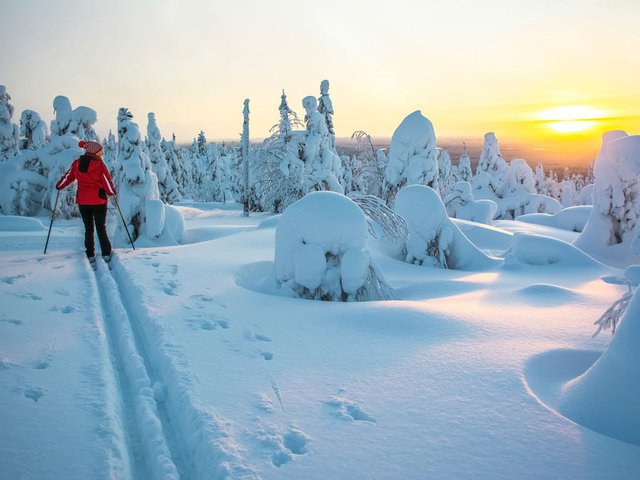 Những lý do khiến Phần Lan năm nào cũng được xếp hạng là quốc gia hạnh phúc nhất thế giới - Ảnh 4.
