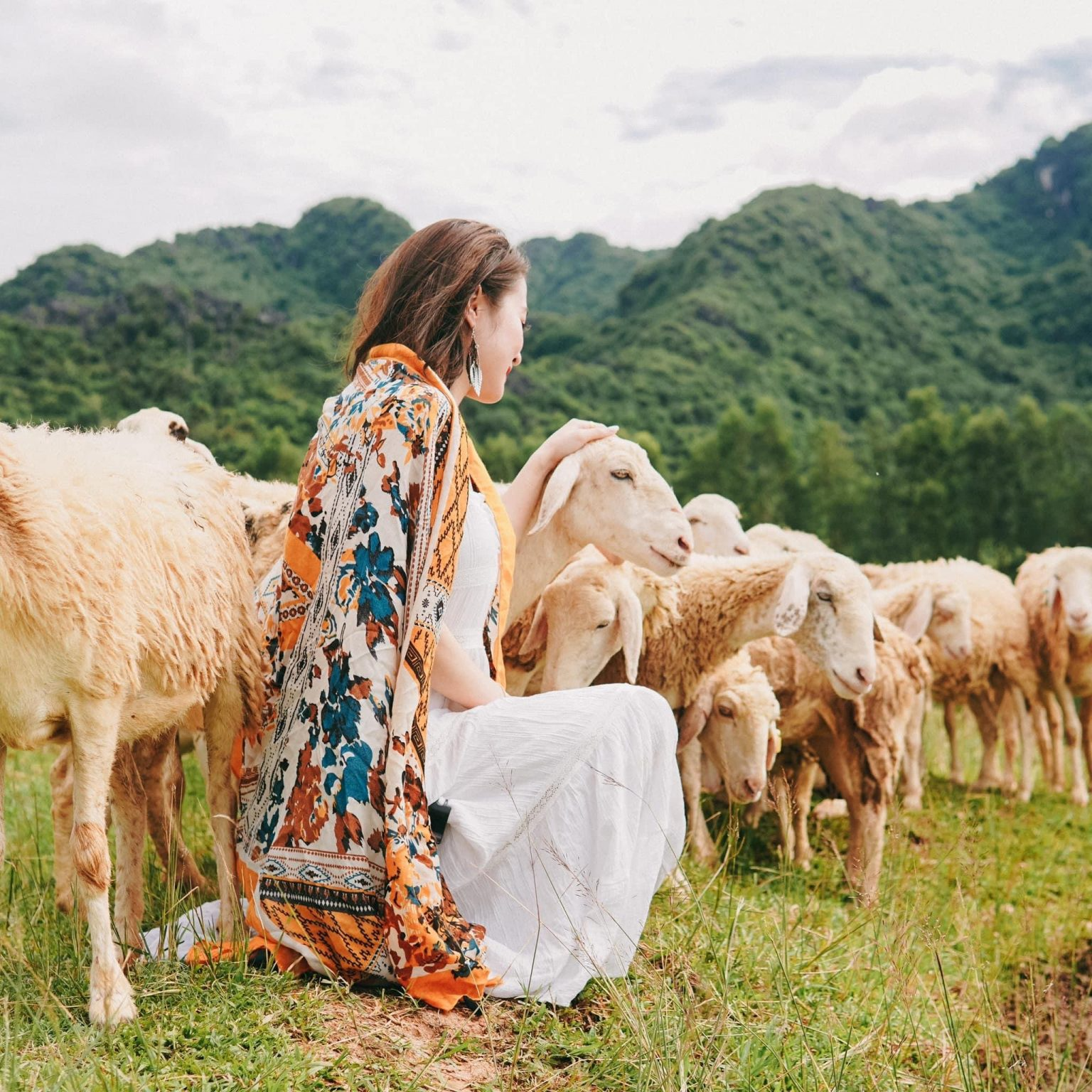 Những cánh đồng thả cừu ấn tượng ở Việt Nam khiến hội mê sống ảo đứng ngồi không yên - Ảnh 5.