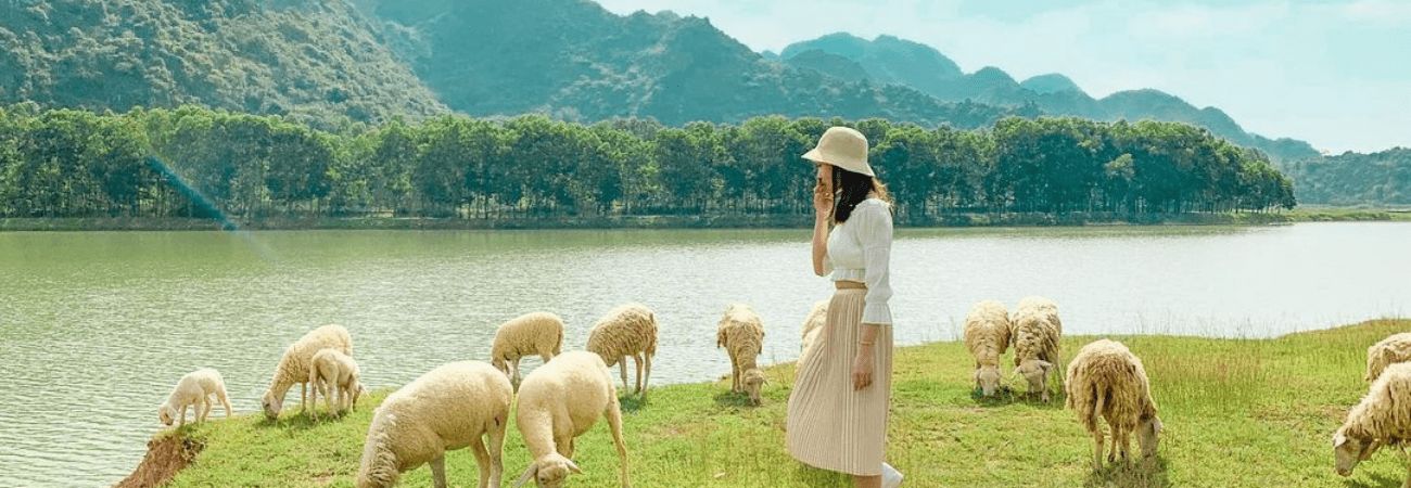 Những cánh đồng thả cừu ấn tượng ở Việt Nam khiến hội mê sống ảo đứng ngồi không yên - Ảnh 3.