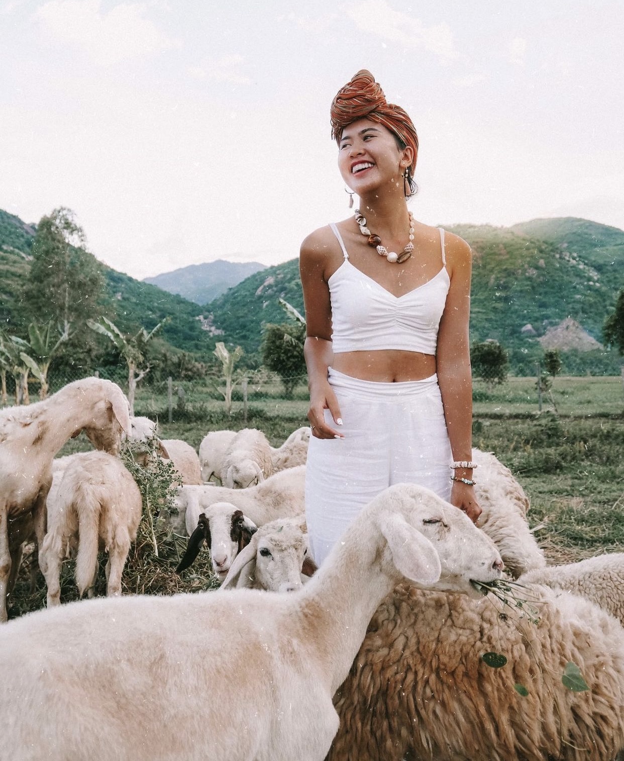 Những cánh đồng thả cừu ấn tượng ở Việt Nam khiến hội mê sống ảo đứng ngồi không yên - Ảnh 22.