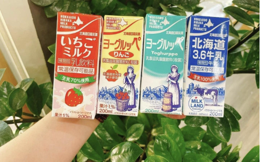 Nhạy bén trong xây dựng thương hiệu quyết định thành công của sữa Hokkaido tại Việt Nam - Ảnh 1.