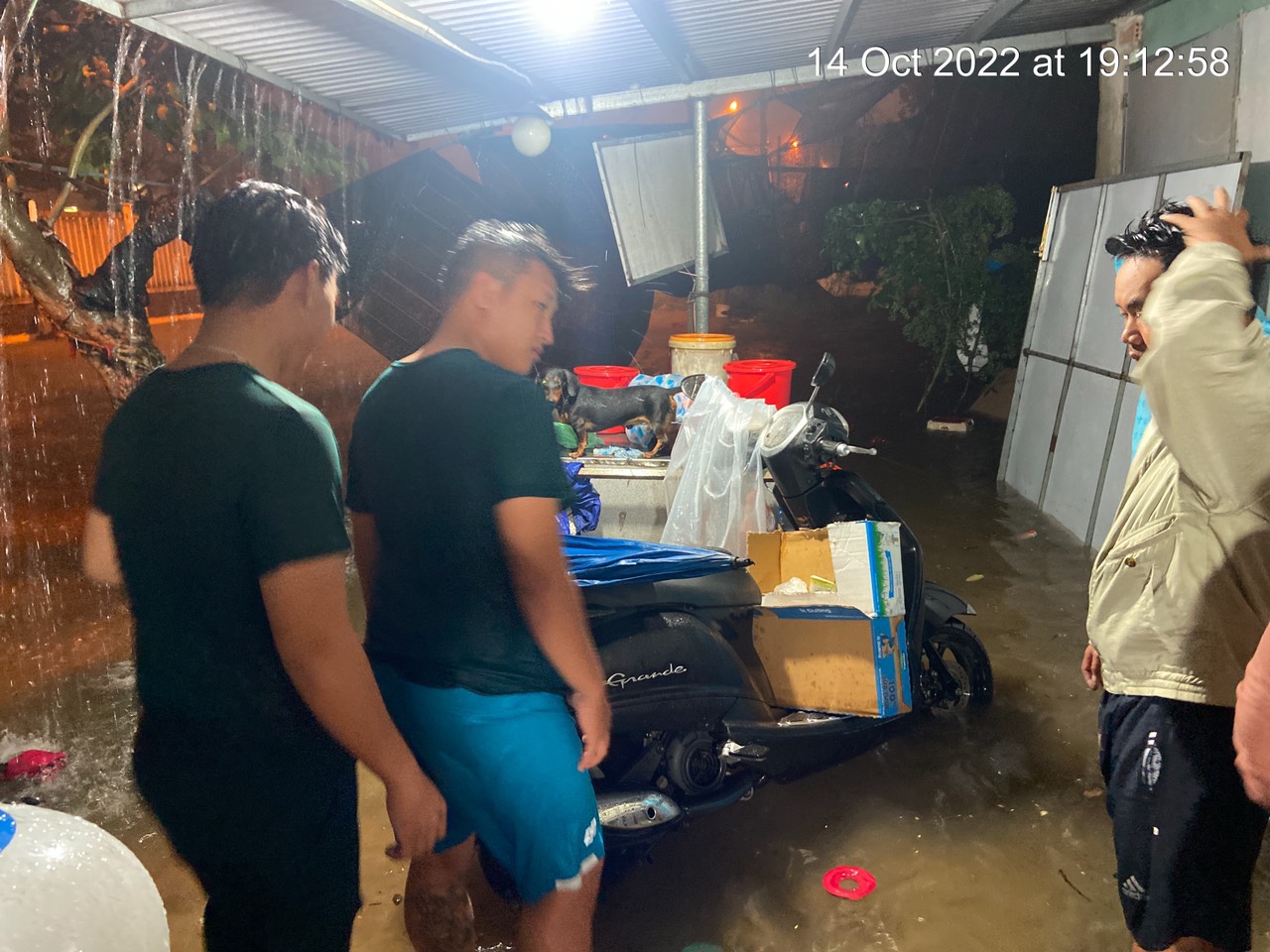 Đường phố thành sông, nước tràn vào nhà, bệnh viện ở Đà Nẵng - Ảnh 12.