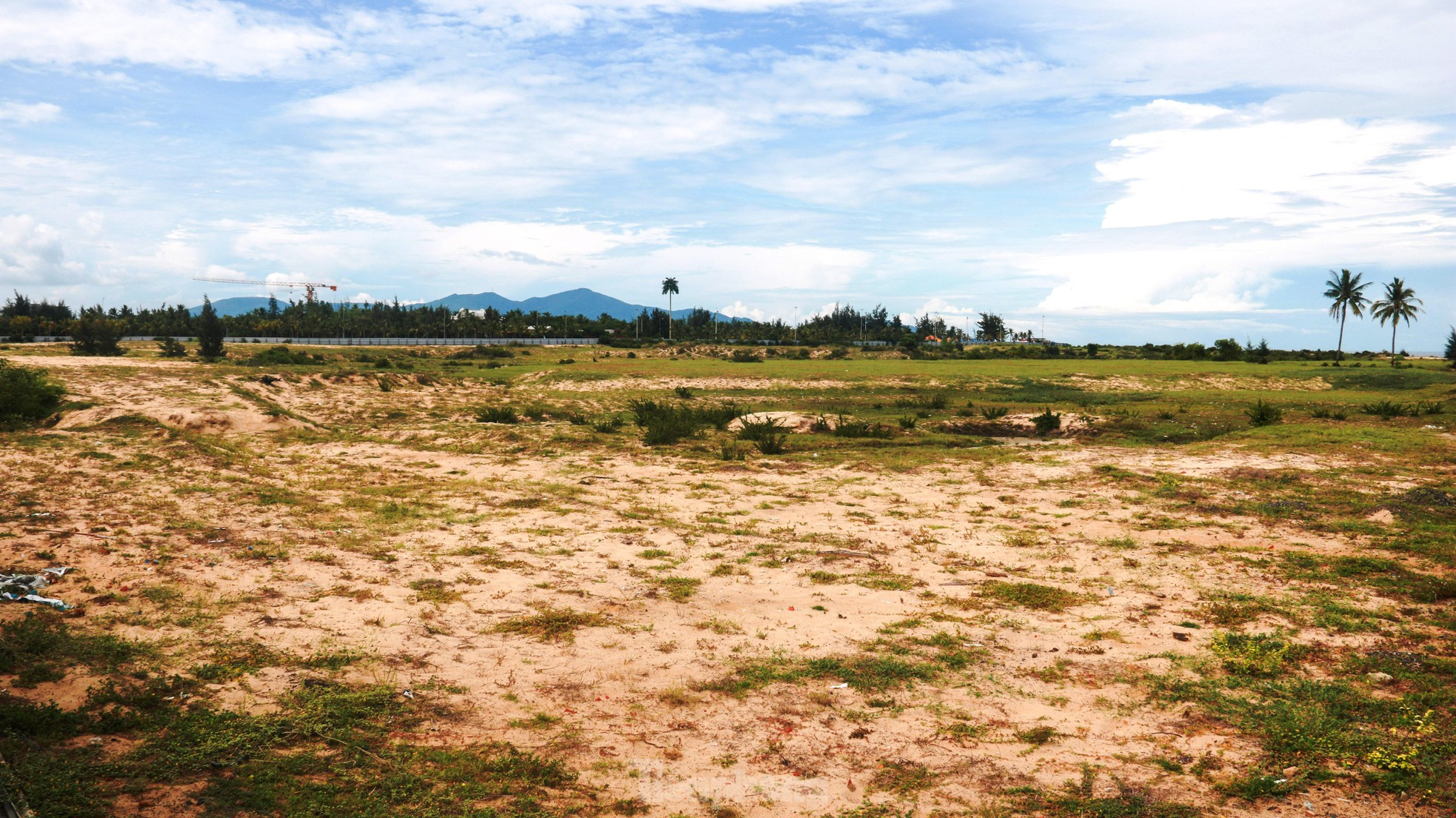 Những dự án ôm đất 'vàng' rồi bỏ hoang ở Đà Nẵng - Ảnh 1.