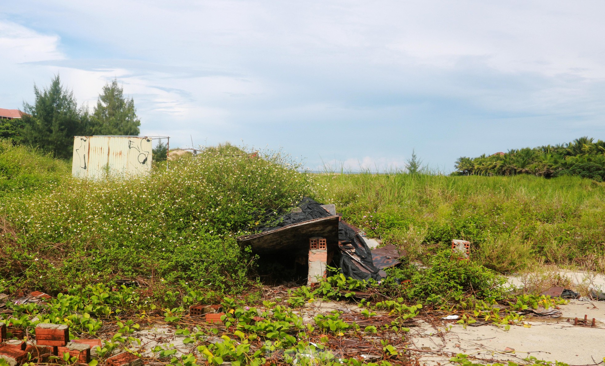 Những dự án ôm đất 'vàng' rồi bỏ hoang ở Đà Nẵng - Ảnh 6.