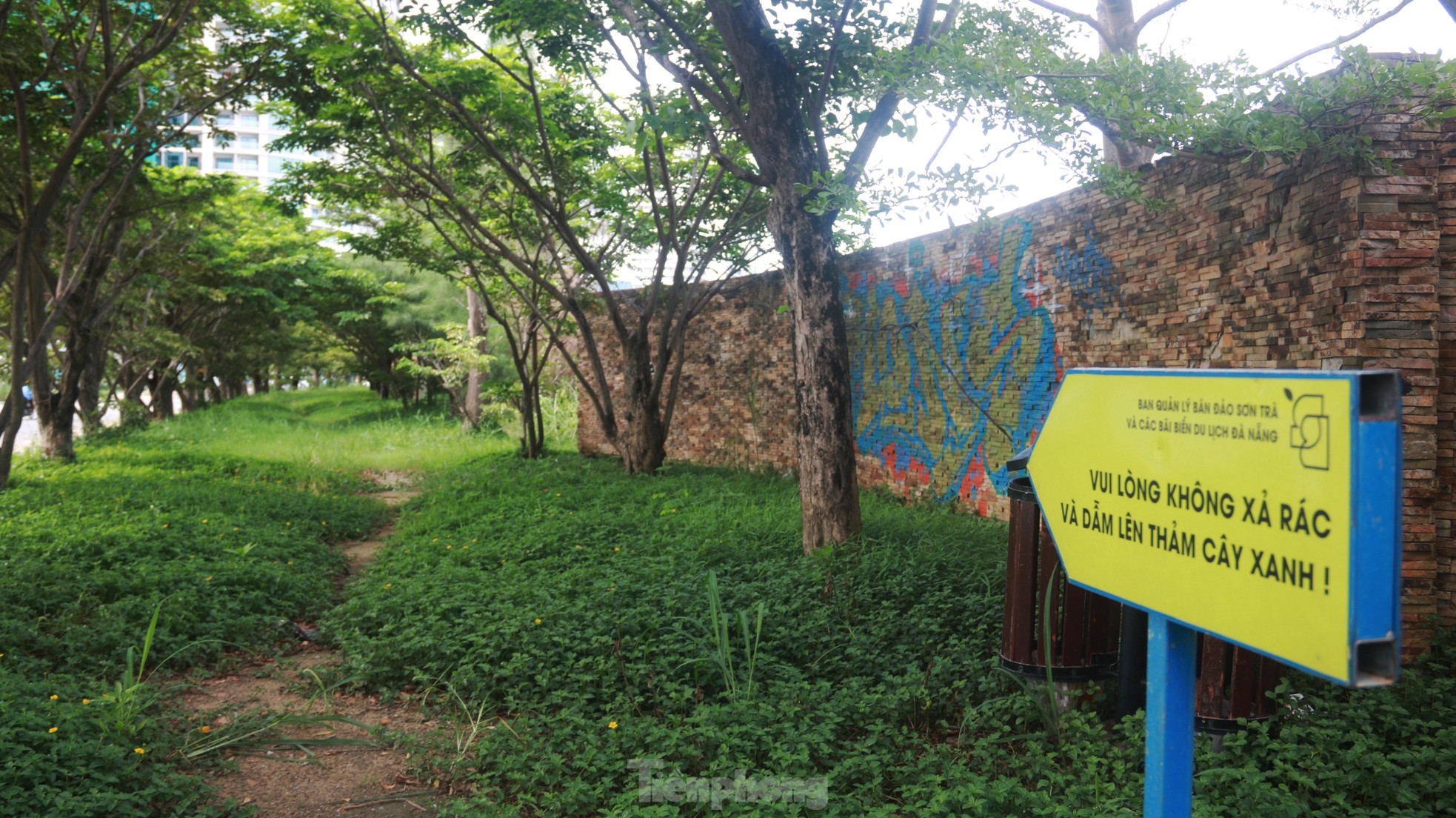 Những dự án ôm đất 'vàng' rồi bỏ hoang ở Đà Nẵng - Ảnh 7.