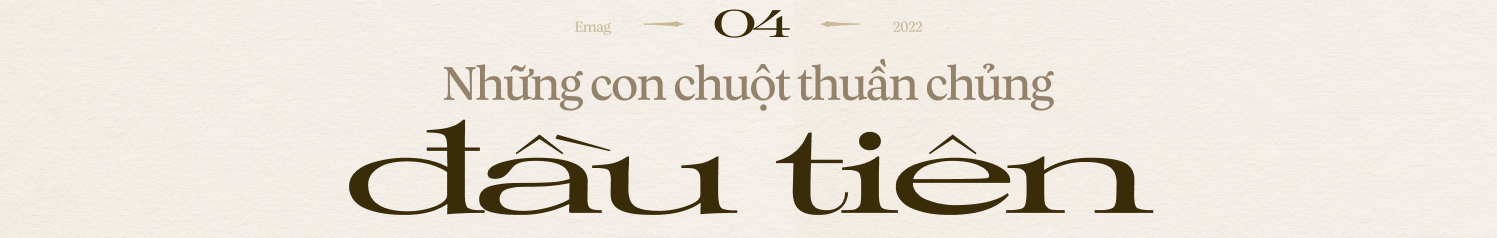 Chuyện của loài chuột: Từ kẻ bám chân vĩ đại đến đồng minh khoa học của loài người - Ảnh 21.