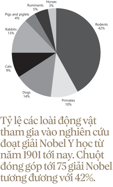 Chuyện của loài chuột: Từ kẻ bám chân vĩ đại đến đồng minh khoa học của loài người - Ảnh 33.