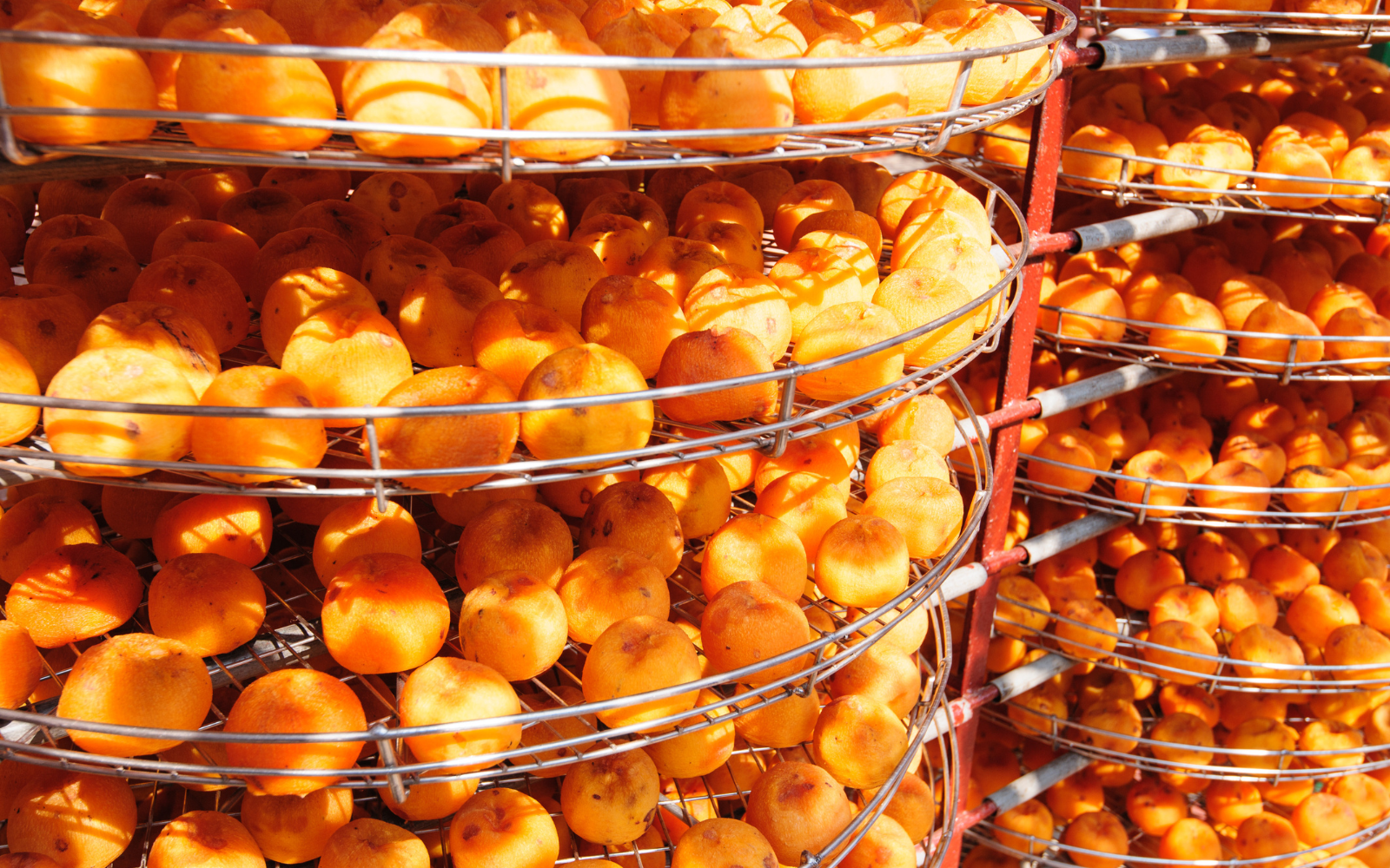 Một quả hồng, mười vị thuốc - Đặc sản mùa gió về chị em không nên bỏ qua - Ảnh 7. Một quả hồng, mười vị thuốc - Đặc sản mùa gió về chị em không nên bỏ qua - Ảnh 7.