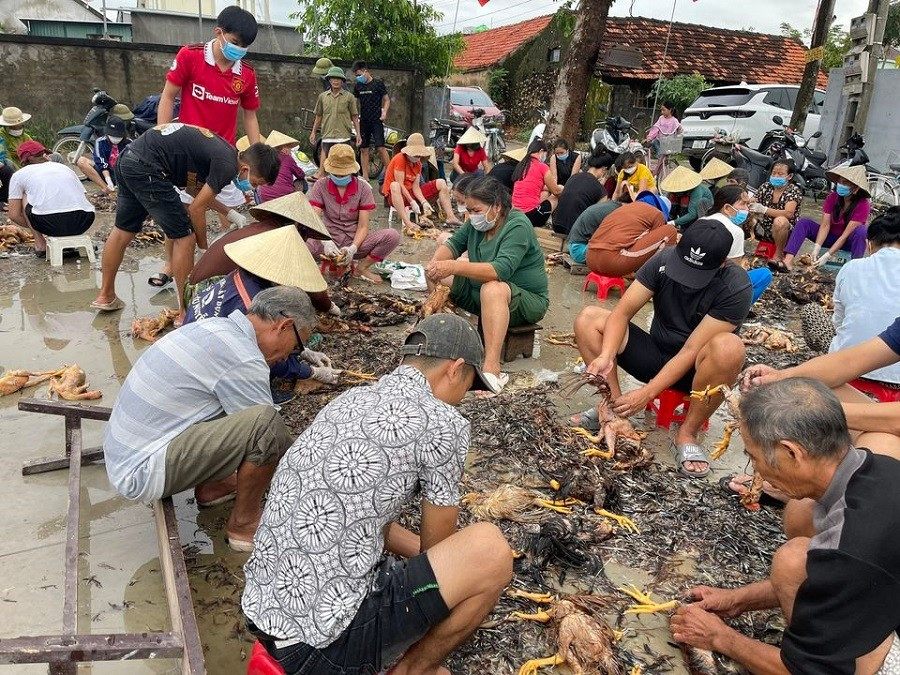 Chuyên trang Infonet Báo VietnamNet - Ảnh 1. Chuyên trang Infonet Báo VietnamNet - Ảnh 1.