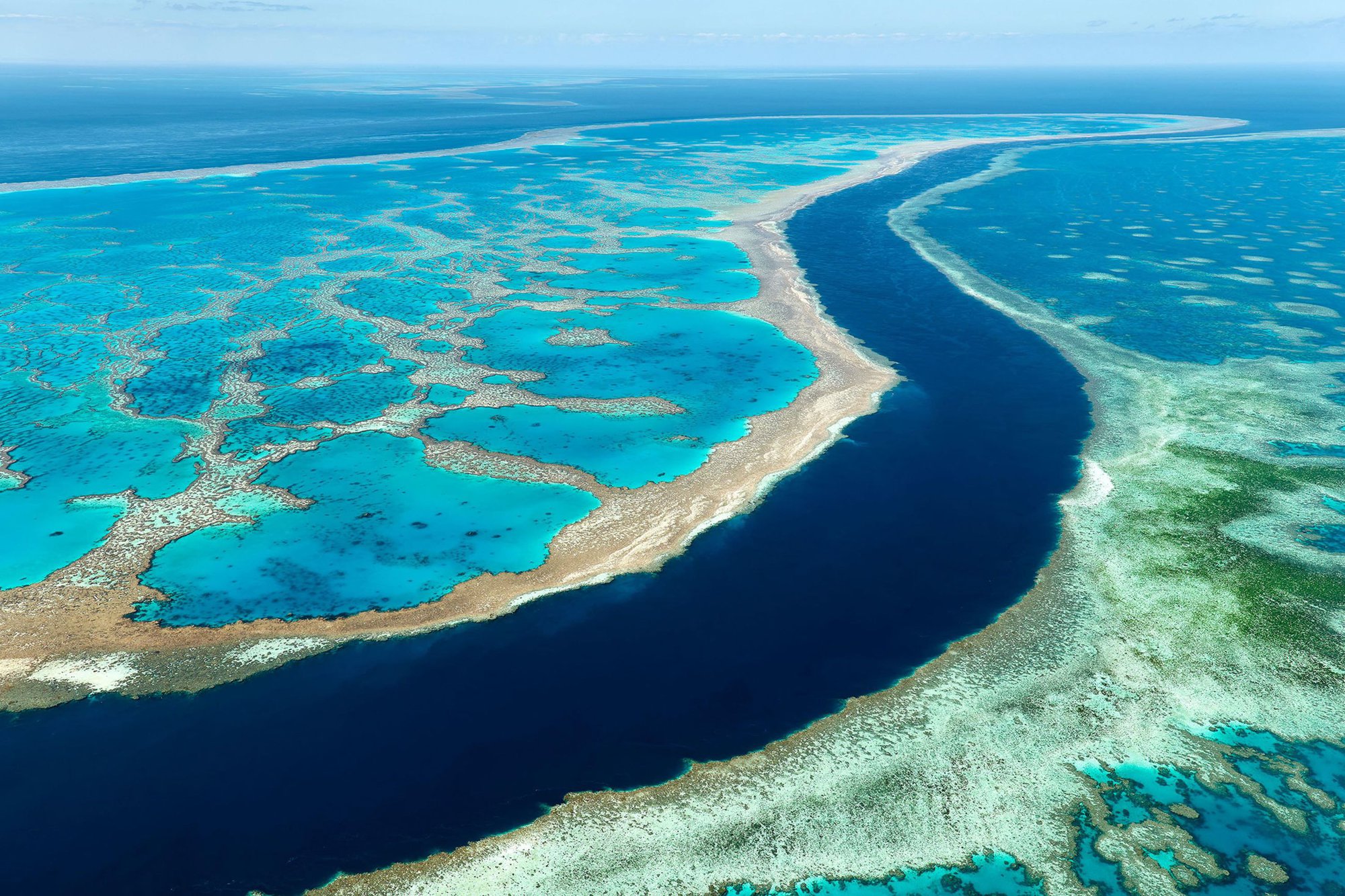 Đây là thời điểm thích hợp để thăm quan rạn san hô Great Barrier! - Ảnh 3.