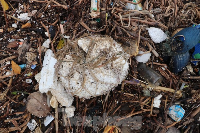 Hàng tấn rác thải trôi dạt, 'bủa vây' bờ biển du lịch nổi tiếng ở Hà Tĩnh ảnh 6
