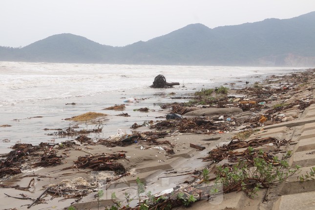 Hàng tấn rác thải trôi dạt, 'bủa vây' bờ biển du lịch nổi tiếng ở Hà Tĩnh ảnh 9